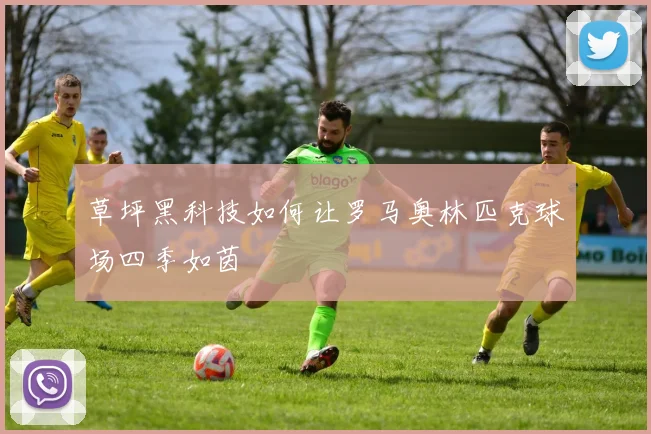 草坪黑科技如何让罗马奥林匹克球场四季如茵