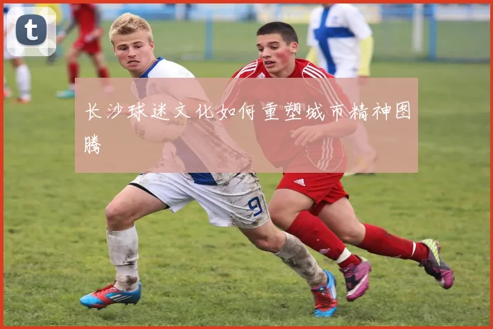 长沙球迷文化如何重塑城市精神图腾