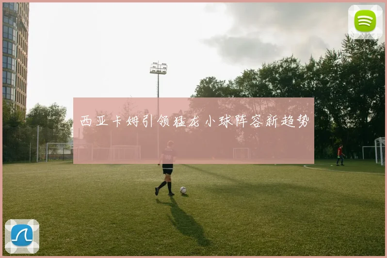 西亚卡姆引领猛龙小球阵容新趋势