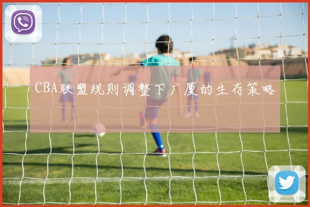 CBA联盟规则调整下广厦的生存策略
