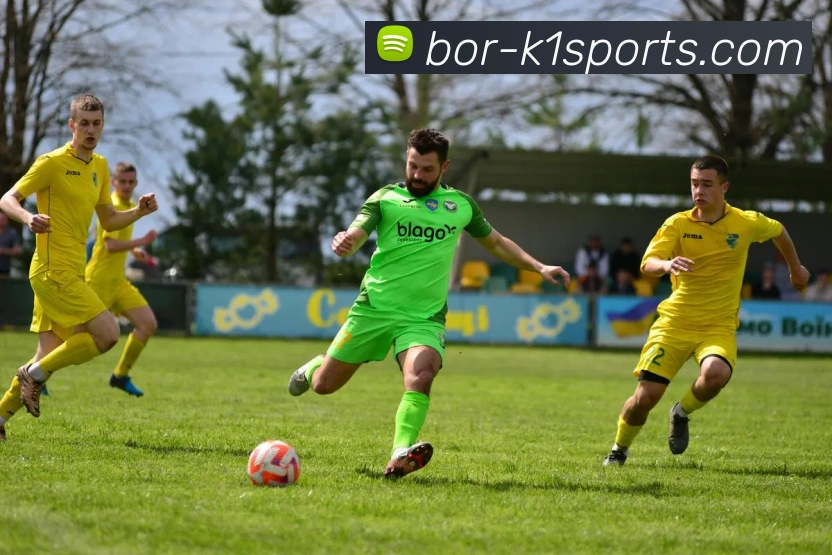 k1sports平台生态图